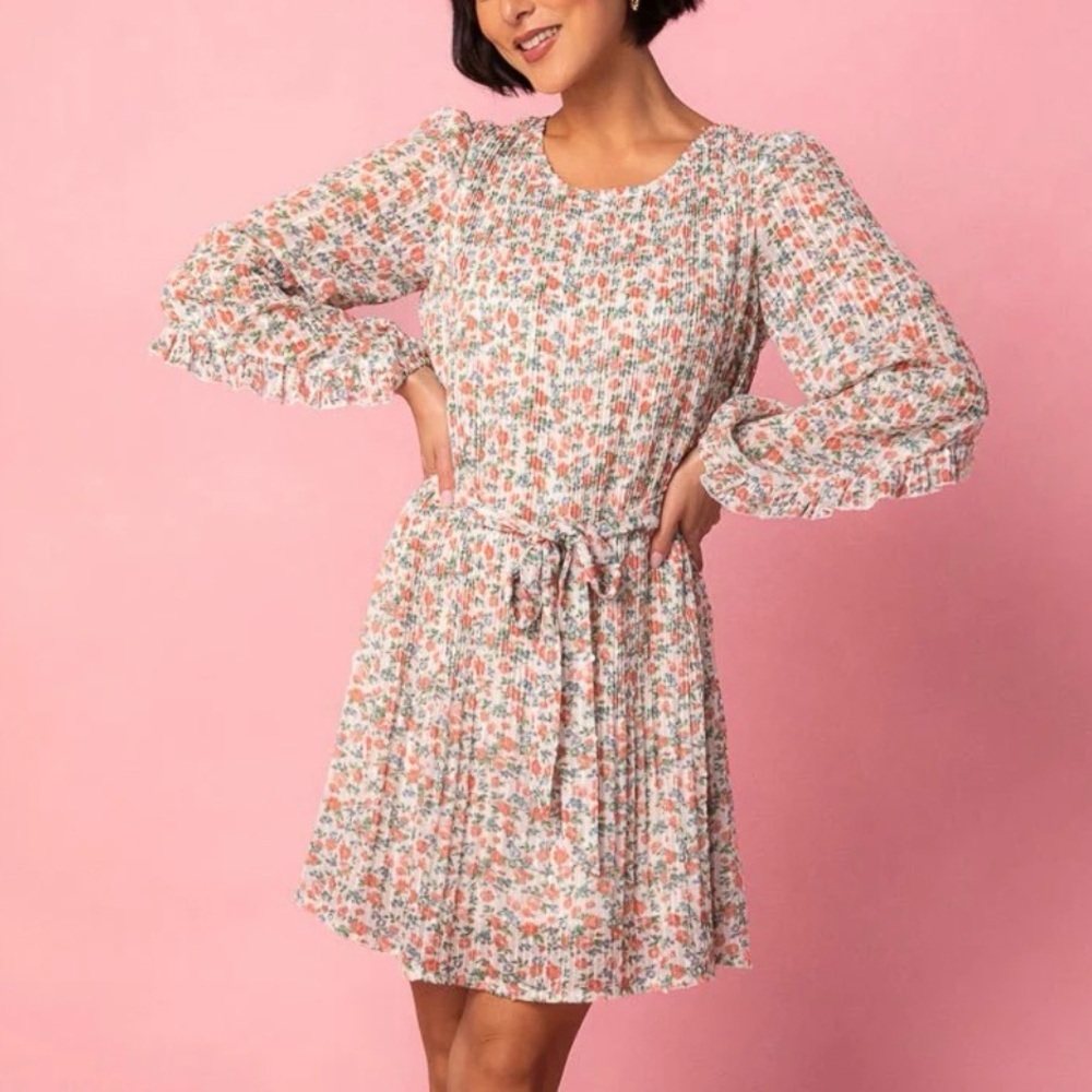 NWT Ivy City Co Chloe Dress Pink Floral Long Sleeve Ruffles Pleated Glitter 4X